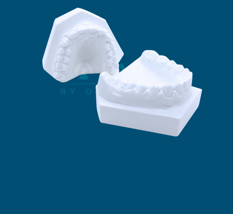 Modelo de estudio zocalado - Complementos de aparatología de Ortodoncia